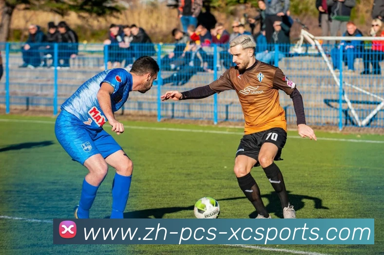 App Interface Preview