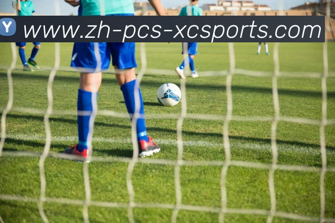 杏彩体育APP 封面图